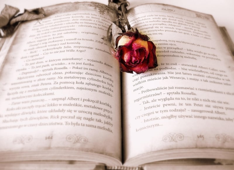 Magic Book