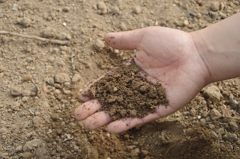 Fertilizer